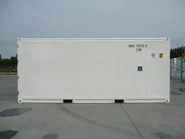 Contenedor maritimo de 20 pies reefer USADO